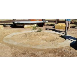 Hardings Paddock Kup Murri, 2022