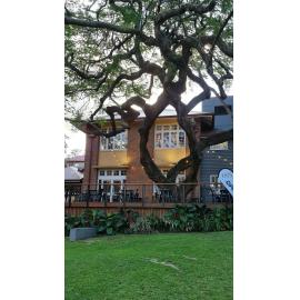 Galvanized Festival Launch 2022