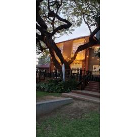 Galvanized Festival Launch 2022