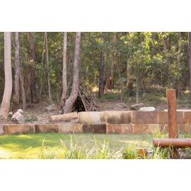 Denmark Hill Conservation Reserve, Ipswich, September 2022