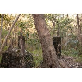 Denmark Hill Conservation Reserve, Ipswich, September 2022