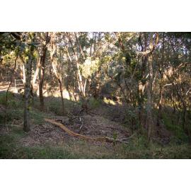 Denmark Hill Conservation Reserve, Ipswich, September 2022