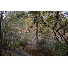 Denmark Hill Conservation Reserve, Ipswich, September 2022