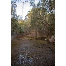 Denmark Hill Conservation Reserve, Ipswich, September 2022