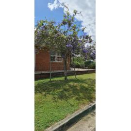 Griffith Road No 3 , Eastern Heights, 2022