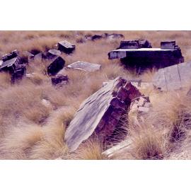 Ruins of Brynhyfryd, Blackstone, Ipswich, c. 1971