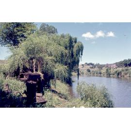 Remains of an old wharf, Town Reach of the northern bank of the Bremer River, Ipswich, c.1970