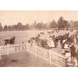 Royal Agricultural Show, Toowoomba, 1905