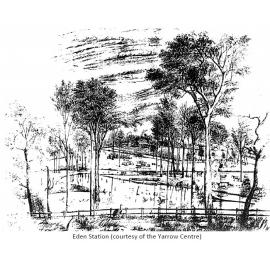 Eden Homestead Sketch