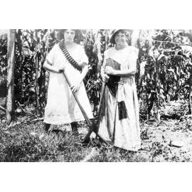 Unidentified women in corn fields, 1920s