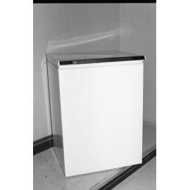 Reid's Department Store ad for General Electric (GE) Chest Freezer, Ipswich, January 1978