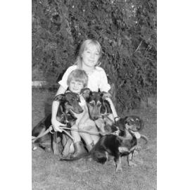 Two unidentified girls with three dogs, Ipswich, Queensland, January 1978