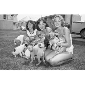 Women holding puppies, Ipswich, December 1977