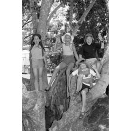 Kids climbing trees at a park, Ipswich, December 1977