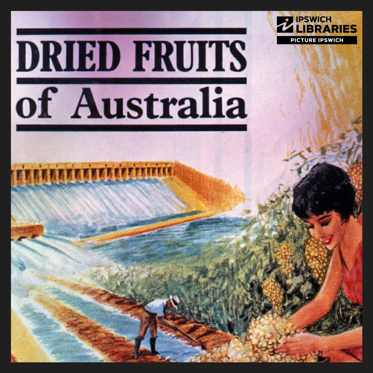 Dried Fruits of Australia