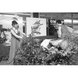 Two unidentified women in uniform performing a demonstration of a long saw on a log in Booval Fair, Booval, Ipswich, February 1978