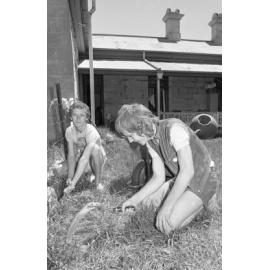 Young Unemployed People of Ipswich (Y.U.P.I.) gardening at Claremont, Ipswich, Queensland, February 1978