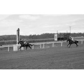 Horse race at Ipswich Turf Club, Bundamba, Ipswich, February 1978