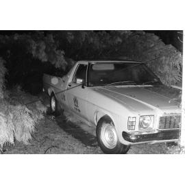 Fallen tree during storm, Ipswich, November 1977