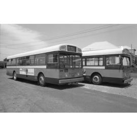 Pioneer buses, Ipswich, November 1977