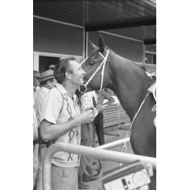 Racing horse at Ipswich Turf Club, Bundamba, November 1977