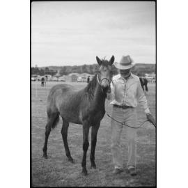 Unidentified man with a horse at a horse event, Ipswich, July 1985 