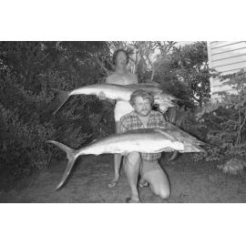 Fishermen holding roundscale spearfish, Ipswich, November 1977