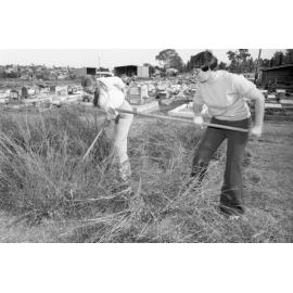 Women clearing brush during Ipswich General Cemetery 'Clean-Up' campaign, Ipswich, 18th June 1977