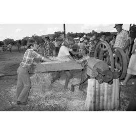 Unidentified boys feed an antique hay press at an unidentified horse event, Ipswich, February 1978
