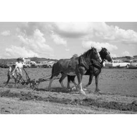 Two men steering two-horse plough team during an unidentified horse event, Ipswich, February 1978
