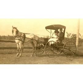O'Connell family in horsedrawn carriage, Bergin's Hill, Bundamba, Ipswich, 1923
