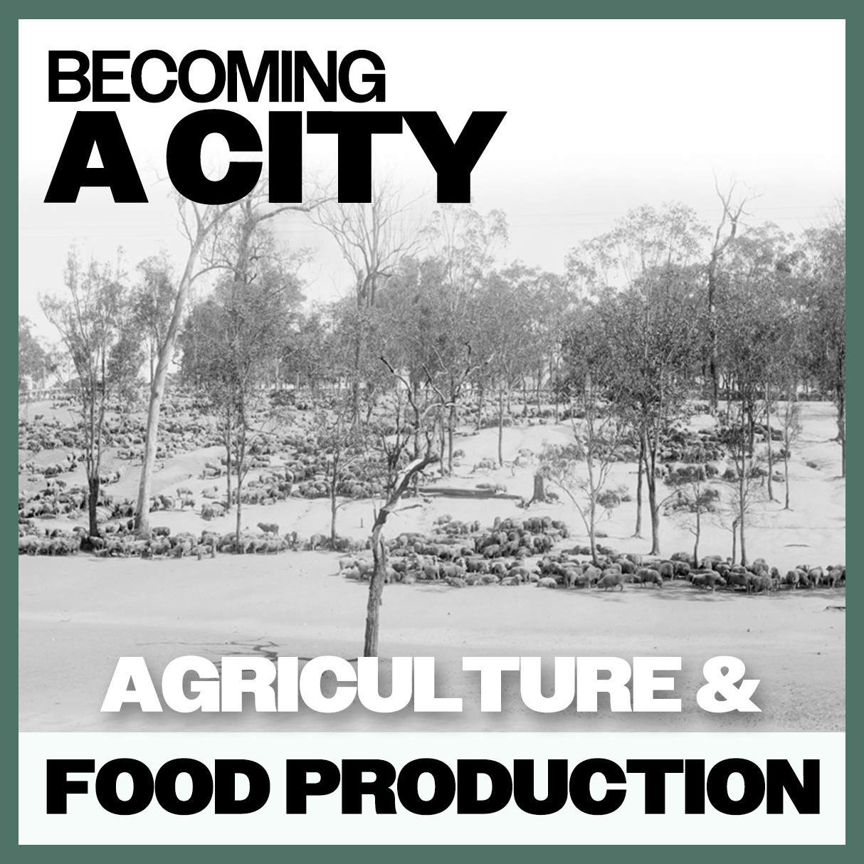 Becoming A City:  Agriculture & Food Production