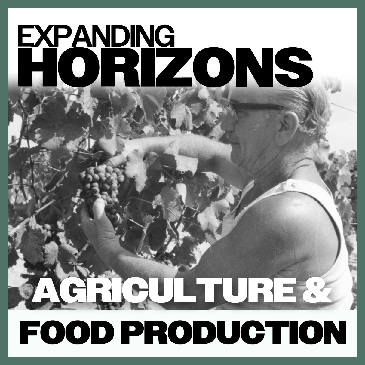 Expanding Horizons: Agriculture & Food Production