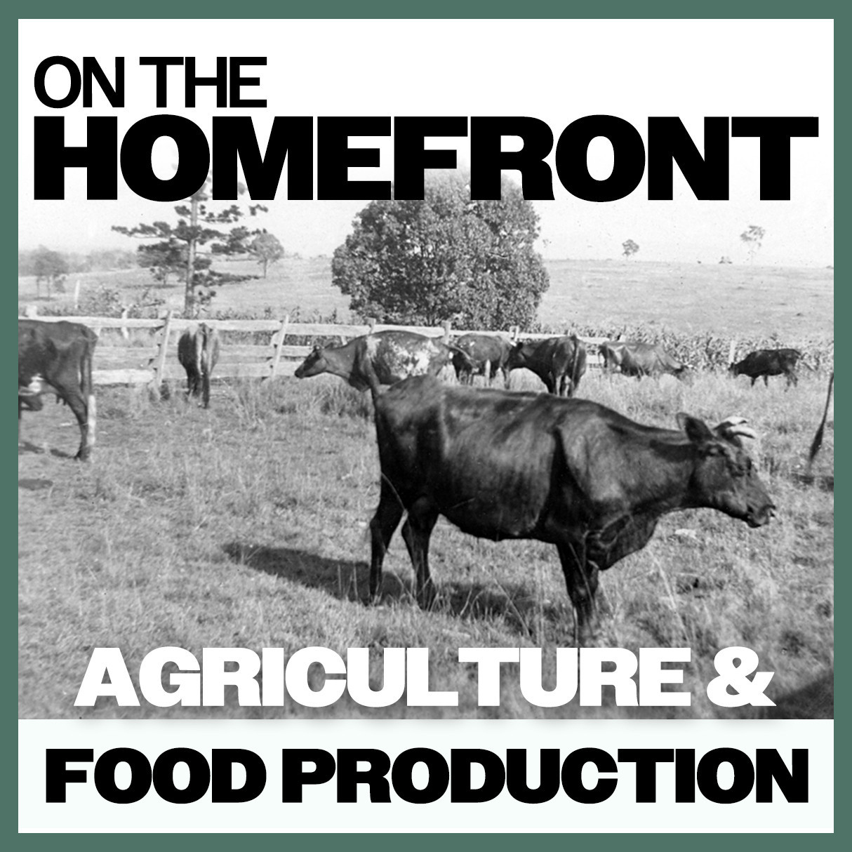 On The Homefront: Agriculture & Food Production 