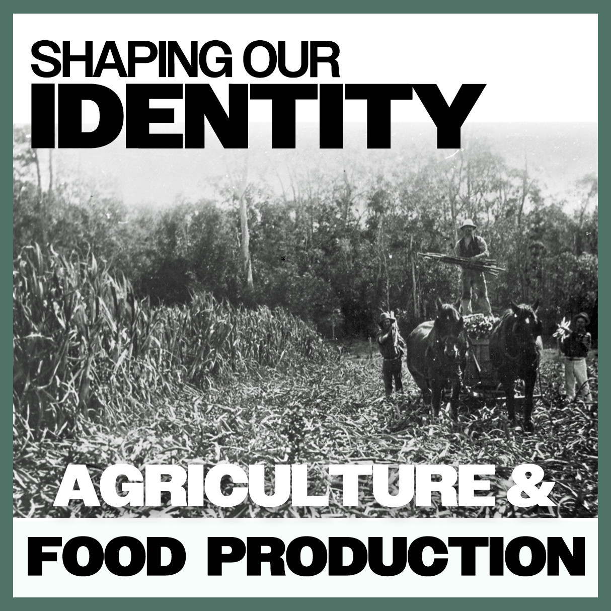 Shaping Our Identity: Agriculture & Food Production