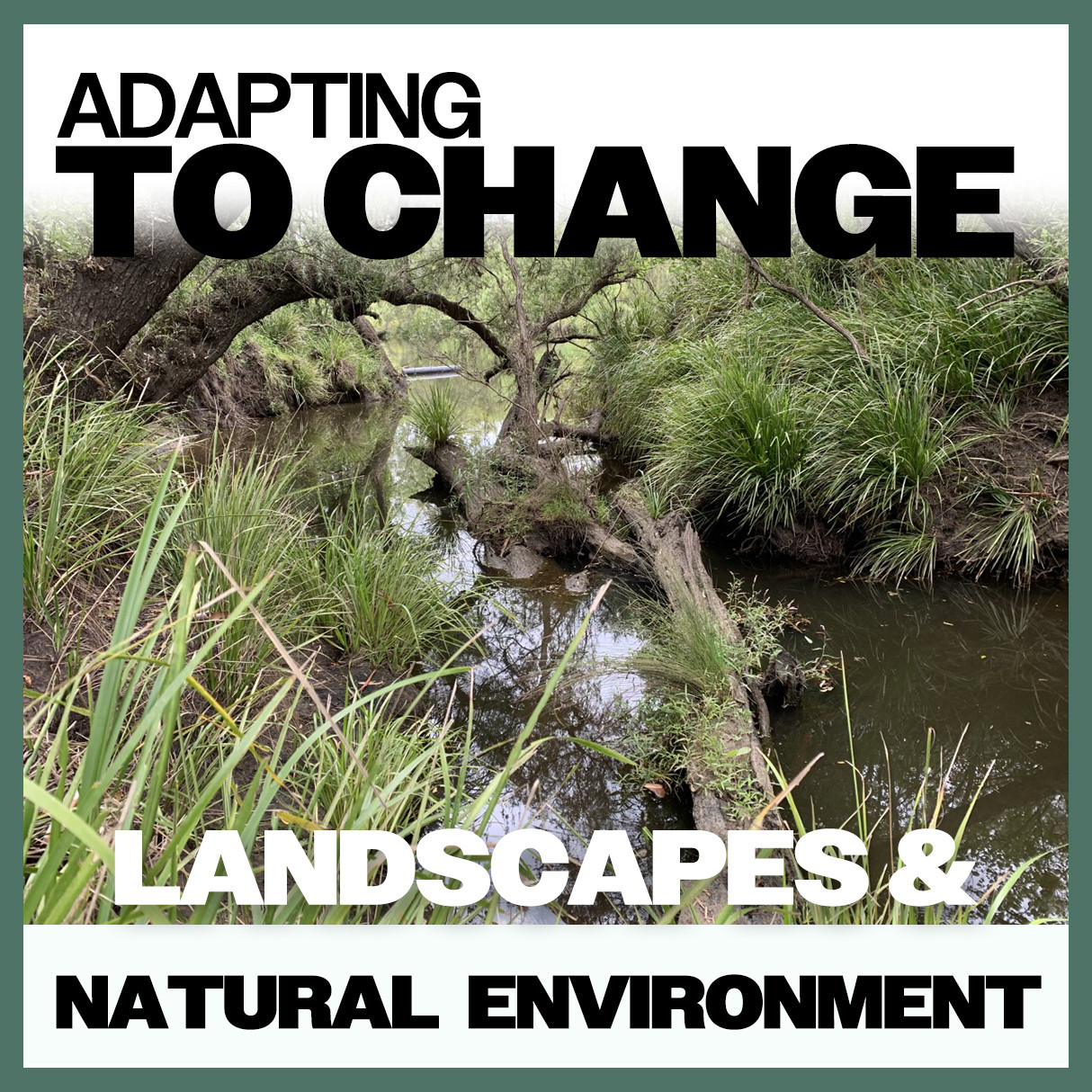 Adapting To Change: Landscapes & Natural Environment