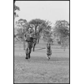 RAAF Serviceman Reynolds with RAAF Service Dog at RAAF Base Amberley, Amberley, Ipswich, January 1986