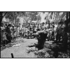 Spectators watching a sheep shearing demonstration, Ipswich, January 1986