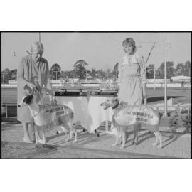 Two unidentified handlers with the two racing greyhounds of the year at Ipswich Greyhound Racing Club, Ipswich, July 1985