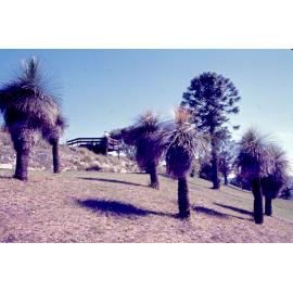 Lookout on Lime ridge at Queens Park, Ipswich, c.1970