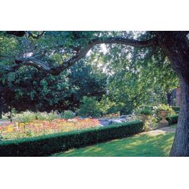 Gardens beside the Greenhouse in Queens Park, Ipswich, 1969
