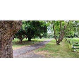Oakleigh, Brittains Road, No. 11, Augustine Heights, Ipswich, 2024