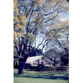 Greenhouse in Queens Park, Ipswich, c.1970