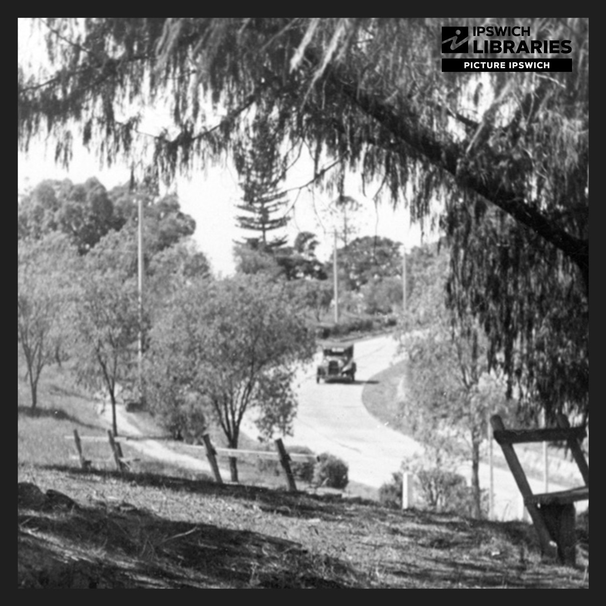 Queens Park Heritage Trail, Stop 05, Merle Finimore Drive