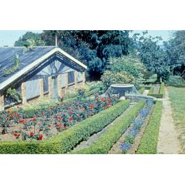 Greenhouse at Queens Park, Ipswich, 1969