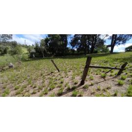 Pioneer Catholic Cemetery, Tallegalla–Two Tree Hill Road, Nos. 146–170, Tallegalla, Ipswich, 2024