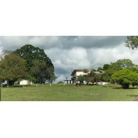 Purga Mission, including White Fig, and Moreton Bay Fig, Ipswich-Boonah Road, No. 587, Purga, Ipswich, 2024