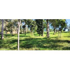 Pine Mountain Congregational Cemetery, Pine Mountain Road, Nos. 875-891, Pine Mountain, Ipswich, 2024