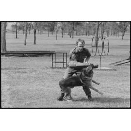 Unidentified RAAF Serviceman training with RAAF Service Dog at RAAF Base Amberley, Amberley, Ipswich, January 1986