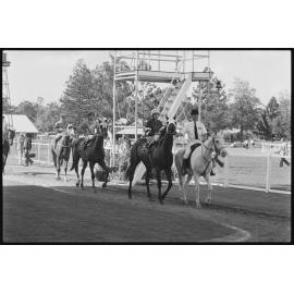 Unidentified Jockeys walking their horses, Ipswich Turf Club, Bundamba, Ipswich September 1987